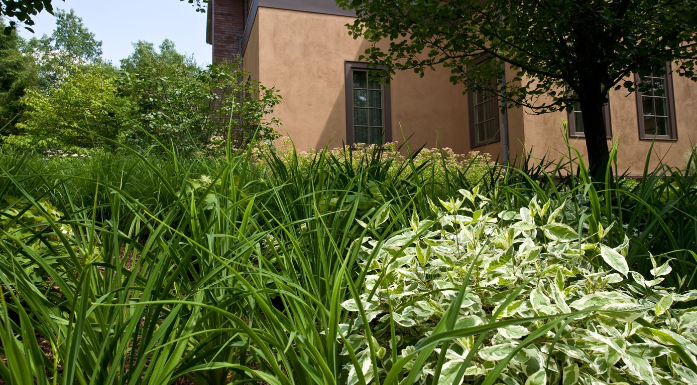 residential-landsacape-atrchitectural-design-firm