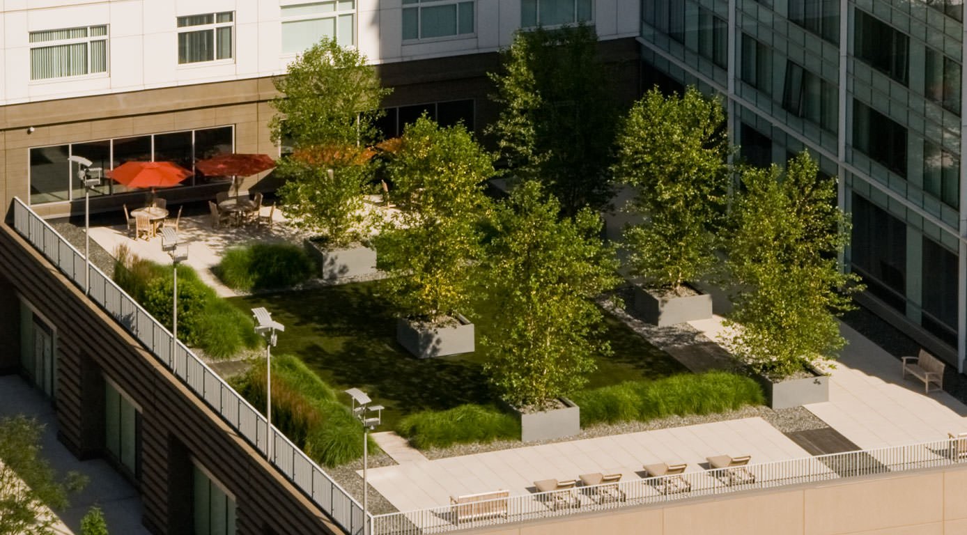 rooftop-garden-landscape-design