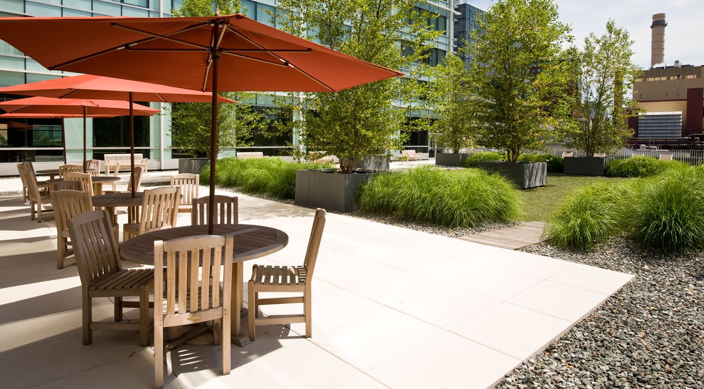 rooftop-gardens-zen-associates