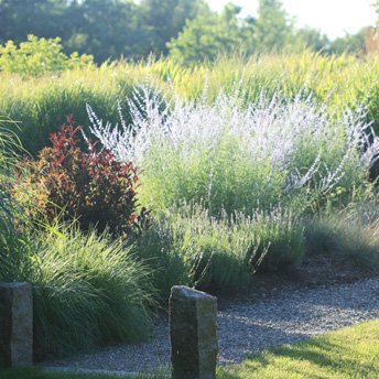 Japanese landscape design Boston