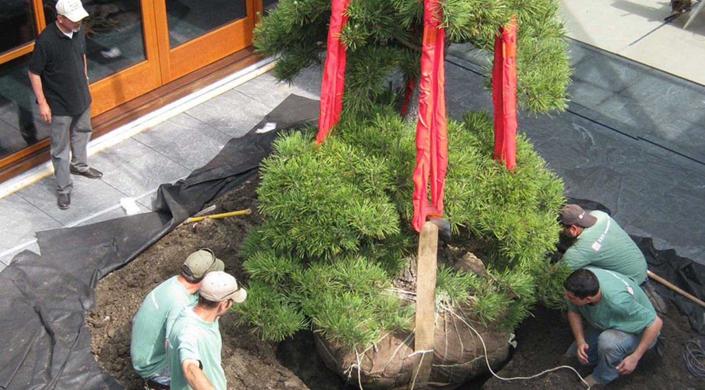 landscape-construction-portfolio-4