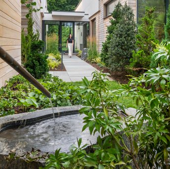 Garden entry with water basin, lush planting, and modern walkway leading to a glass-front door